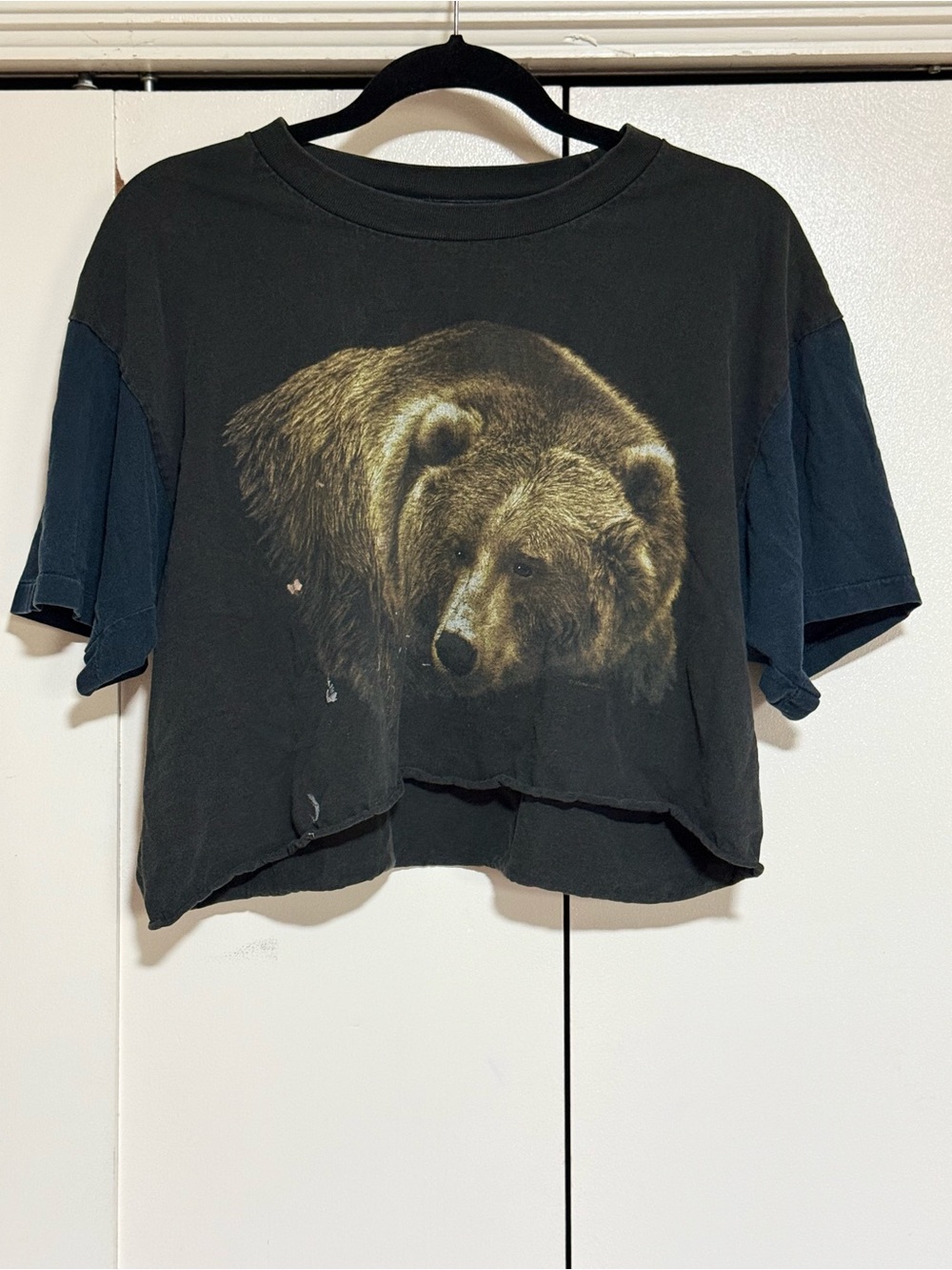 Anvil Vintage Grizzly Bear Graphic Crop Tee Distressed Wildlife T-Shirt Size XL - Picture 2 of 9
